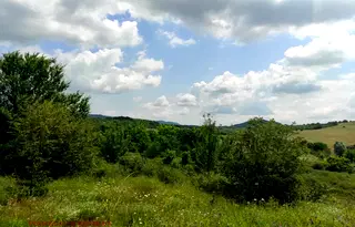 Парцел във Велико Търново, Дебелец