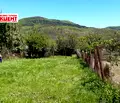 Снимка 4 — Парцел във Велико Търново, Елена
