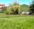 Снимка 5 — Парцел във Велико Търново, Елена