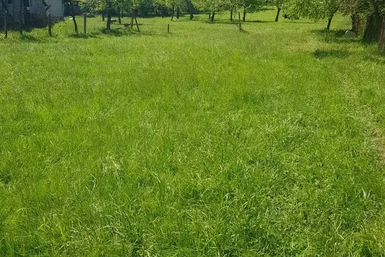 Plot in Oblast Veliko Tyrnovo, Elena