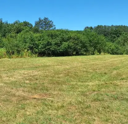 Photo 2 — Plot in Oblast Veliko Tyrnovo, Elena
