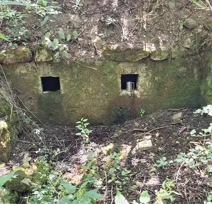 Photo 5 — Plot in Oblast Veliko Tyrnovo, Elena