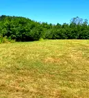 Парцел във Велико Търново, Елена