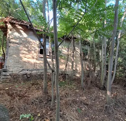 Photo 3 — Plot in Oblast Vidin, с. Шишенци