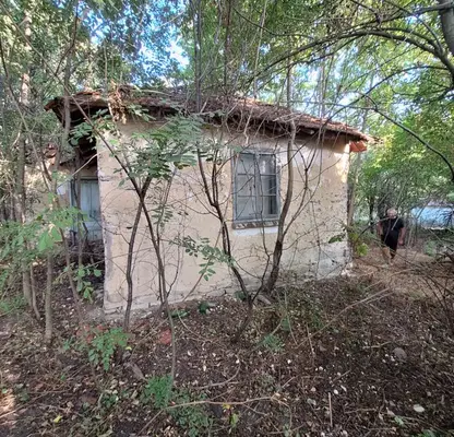 Photo 4 — Plot in Oblast Vidin, с. Шишенци