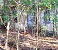 Снимка 5 — Парцел във Видин, с. Шишенци