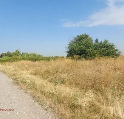 Photo 2 — Agricultural Land in област София, Kazichene