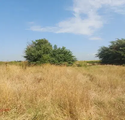 Photo 3 — Agricultural Land in област София, Kazichene