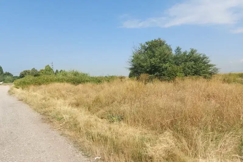 Agricultural Land in област София, Kazichene