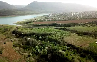 Земеделски имот във Варна, с. Аспарухово