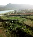 Земеделски имот във Варна, с. Аспарухово