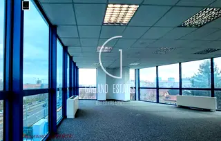 Офис в София, Бъкстон