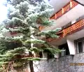 Снимка 4 — Хотел в Пловдив, Кричим