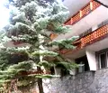 Снимка 5 — Хотел в Пловдив, Кричим