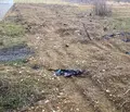 Снимка 4 — Земеделски имот в Пловдив, Сопот