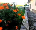 Снимка 5 — Къща в Бургас, с. Кошарица