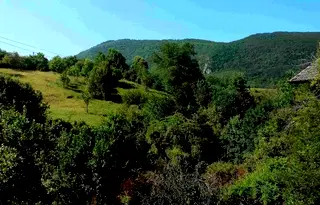 Къща в Перник, с. Филиповци