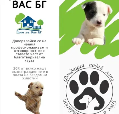 Снимка 3 — Къща в София, с. Нови хан