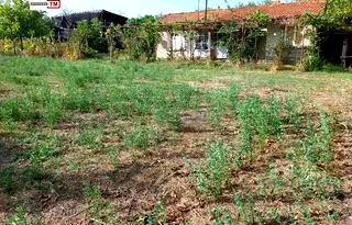 Къща в Стара Загора, с. Рисиманово