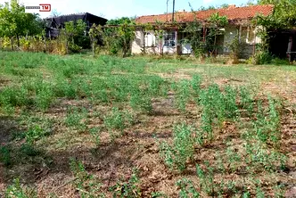 Къща в Стара Загора, с. Рисиманово