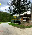 Къща във Велико Търново, Елена