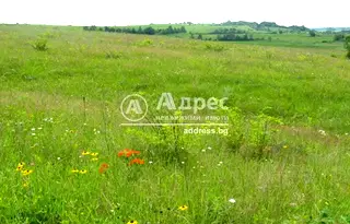 Земеделски имот в Пловдив, с. Царацово
