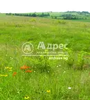 Земеделски имот в Пловдив, с. Царацово