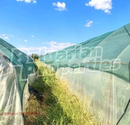 Photo 2 — Agricultural Land in Oblast Plovdiv, Stryama