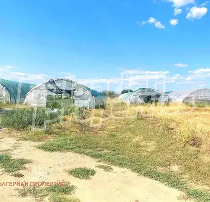 Photo 3 — Agricultural Land in Oblast Plovdiv, Stryama