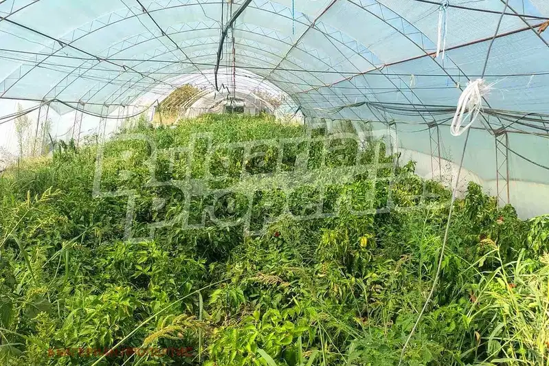 Agricultural Land in Oblast Plovdiv, Stryama