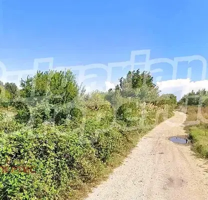 Photo 5 — Agricultural Land in Oblast Plovdiv, Yagodovo