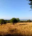 Земеделски имот в София, с. Хераково