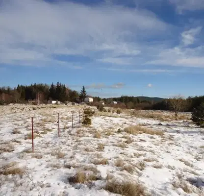 Photo 3 — Agricultural Land in област София, Plana