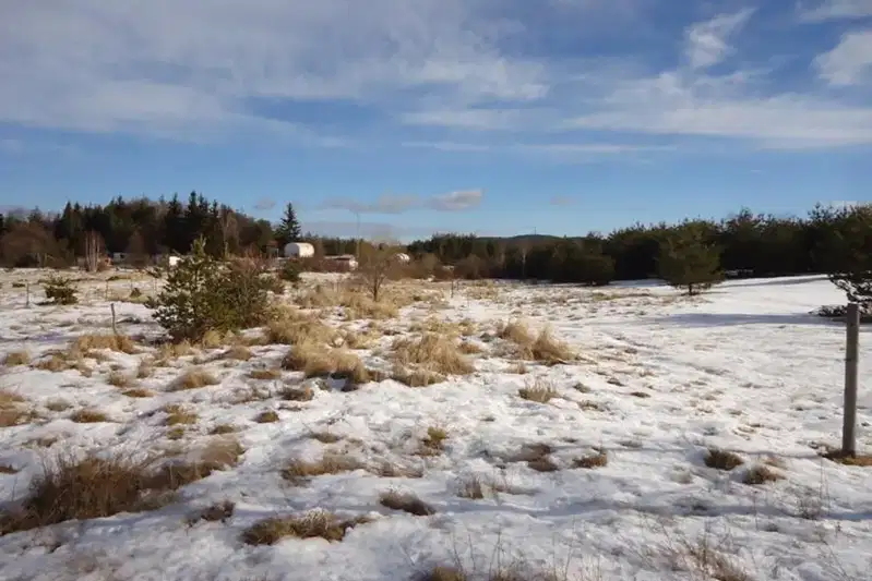 Agricultural Land in област София, Plana