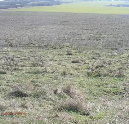 Photo 2 — Agricultural Land in Oblast Varna, Avren