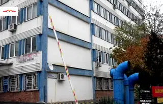 Офис в София, Дървеница