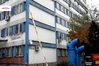 Офис в София, Дървеница