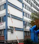 Офис в София, Дървеница