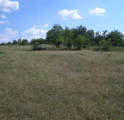 Photo 3 — Plot in Konstantinovo