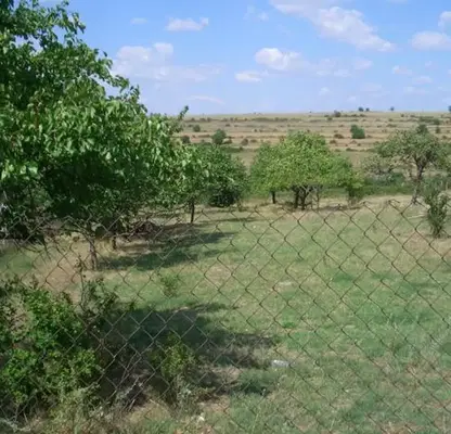 Photo 4 — Plot in Konstantinovo