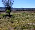 Снимка 3 — Парцел в с. Лозен