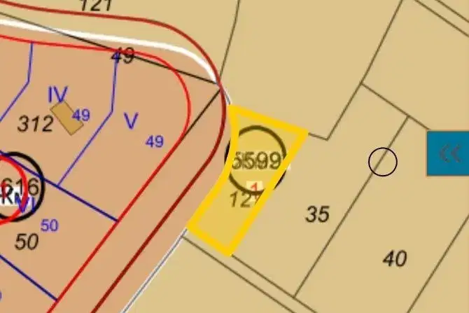 Plot in Voinegovci