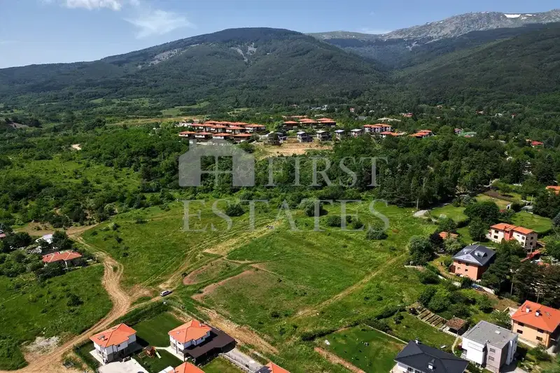 Plot in Bistrica