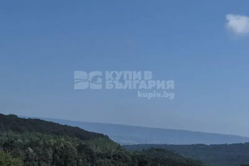 Plot in Zvezdica