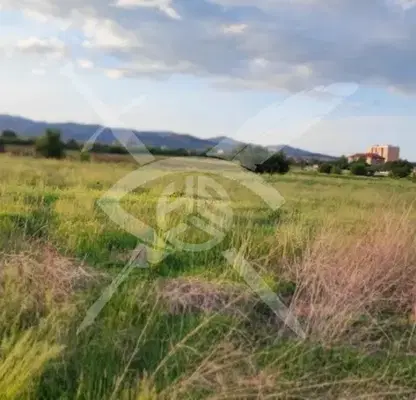 Photo 5 — Plot in Novi Iskyr