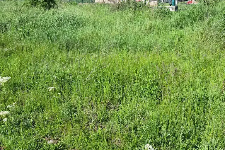 Plot in Pancharevo