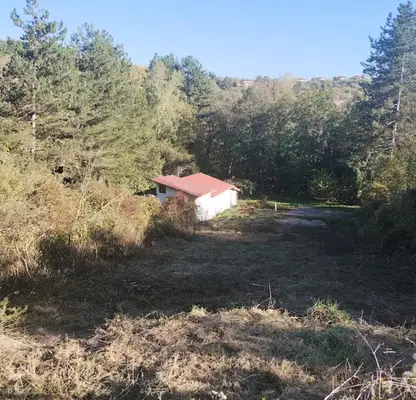Photo 5 — Plot in Bankya