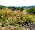 Снимка 4 — Парцел в Банкя