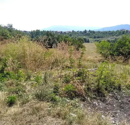 Photo 4 — Plot in Bankya
