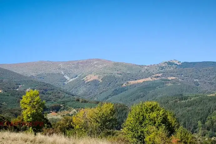Парцел в с. Железница